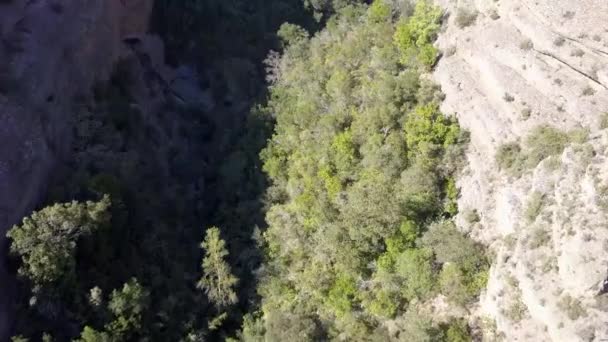 Hög Utsikt Över Vacker Dal Spanien Solig Dag — Stockvideo