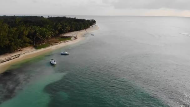 Pantai Berpasir Putih Eksotis Madagaskar Dilapisi Dengan Pohon Palem Aerial — Stok Video
