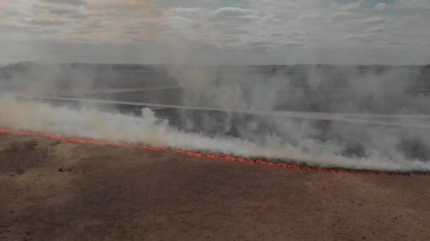 Поле Пастбищ Огне Дымом — стоковое видео