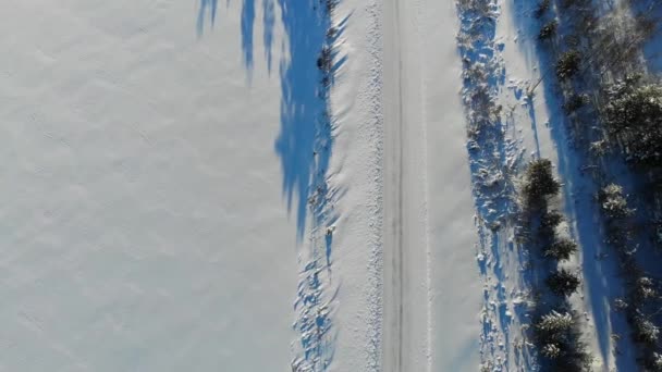Людина Йде Замерзлому Озері Біля Національних Парків Лапландії Фінляндія Повітряний — стокове відео