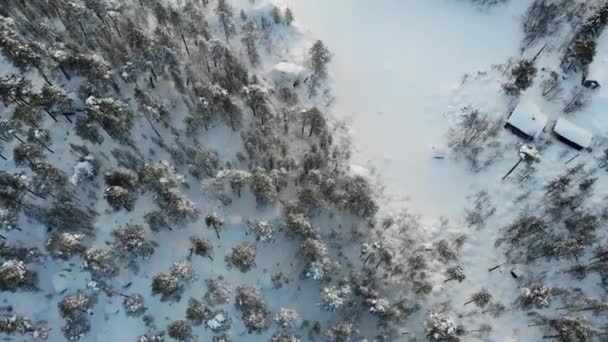Stora Skogar Med Lummiga Barrskogar Täckta Djup Snö Lapplands Nationalpark — Stockvideo
