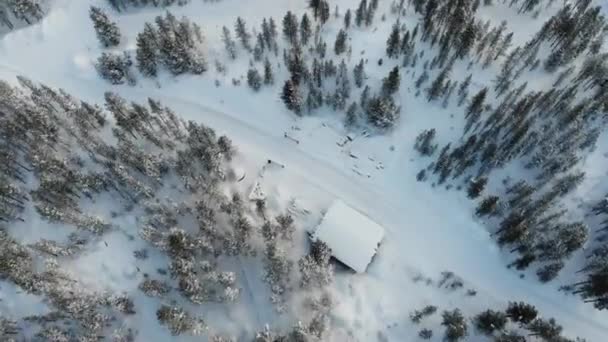 Snölandskap Nationalskogsparken Med Täta Träd Och Stugor Vintern Enare Lappland — Stockvideo