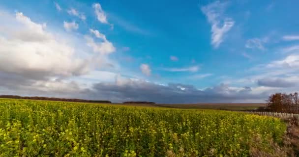 Timelapse Dei Campi Intorno Monumento Preistorico Stonehenge Sulla Salisbury Plain — Video Stock