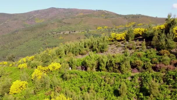 Drone Spårning Utsikt Över Vandrare Fisgas Naturpark Portugalon Vacker Solig — Stockvideo