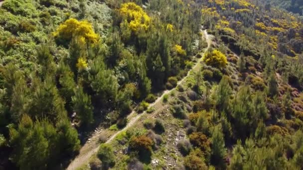 Late Namiddag Zon Wandelpaden Paden Van Het Fisgas Natuurpark Portugal — Stockvideo