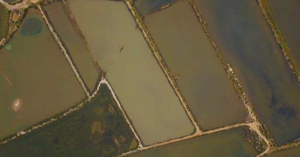 Letecký Pohled Ptačí Perspektivy Přírodní Rezervaci Solné Pánve Fuseta Portugal — Stock video