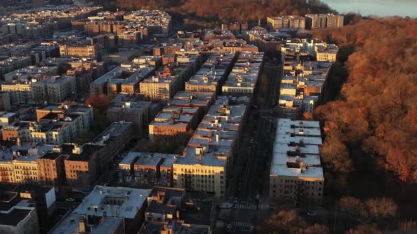 Flock Duvor Cirklar Nedanför Över Inwood Grannskapet Toppen Manhattan Golden — Stockvideo