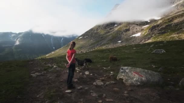 Ein Junges Mädchen Genießt Eine Schöne Aussicht Umgeben Von Ziegen — Stockvideo