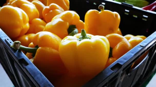Pimentos Amarelos Mercado Agricultor — Vídeo de Stock