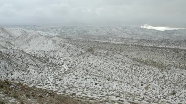 Joshua Tree Çölü Kar Yağışı Yağıyor — Stok video