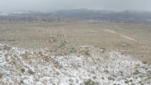 Joshua Tree California Tepelerine Kar Yağıyor — Stok video