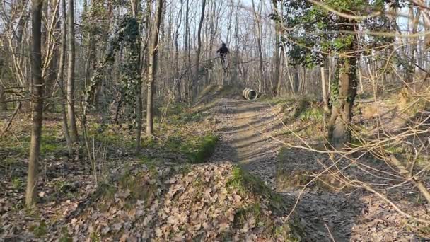 Seria Skoków Mtb Zwolnionym Tempie — Wideo stockowe