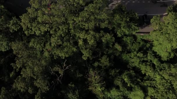 Inclinação Aérea Lenta Para Revelar Museu Cloisters Topo Uma Colina — Vídeo de Stock