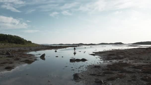 Γυναίκα Ήρεμα Νερά Μιας Θάλασσας Περπατώντας Μόνη Κατά Διάρκεια Του — Αρχείο Βίντεο
