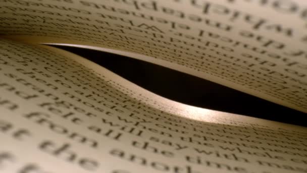 Starting Deep Book Pages Open Slightly Curved Lit Spotlight Shining — Stock Video