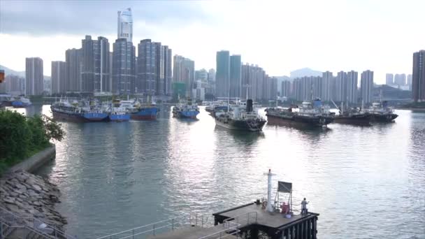 Barges Water Next High Rise Apartments Hong Kong — Stock video