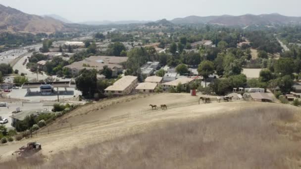 Letecký Pohled Běžecké Koně Agoura California Dálnicí 101 Pozadí — Stock video