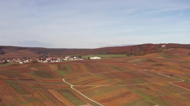 法国秋天附近空中的无人机落日掠过葡萄园 — 图库视频影像