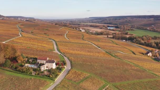 Aerial Drone Atardecer Sobrevolar Viñedos Cerca Pernay Francia Otoño — Vídeo de stock