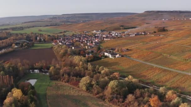 Aerial Drone Sunset Flyover Vingårdar Nära Pernay Frankrike Höst — Stockvideo