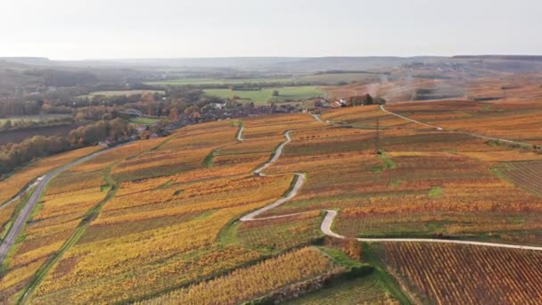 Aereo Drone Tramonto Cavalcavia Vigneti Vicino Pernay Francia Autunno — Video Stock