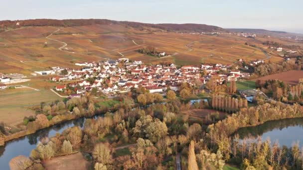 Aereo Drone Tramonto Cavalcavia Vigneti Vicino Pernay Francia Autunno — Video Stock