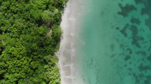 Aerial View Woman Floating Swimming Amazing Turquoise Clear Water Caribbean — Stok Video