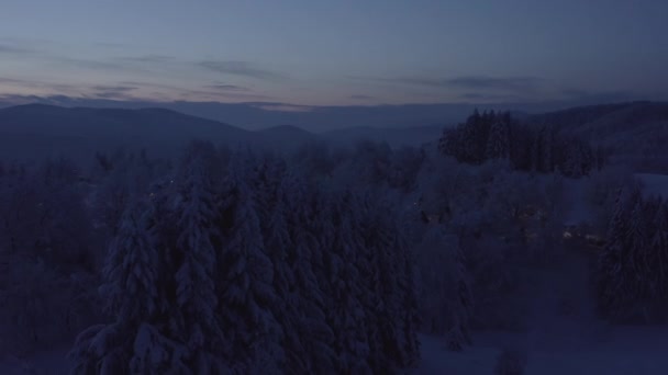 Drone Andare Avanti Sopra Foresta Volo Basso Attraversando Gli Alberi — Video Stock