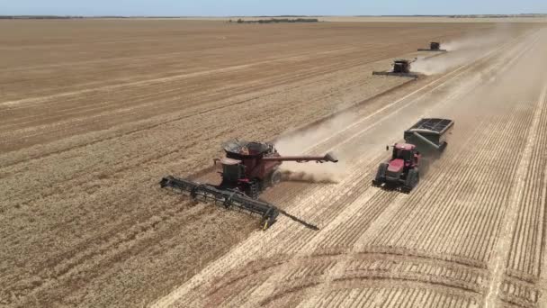 Prachtig Uitzicht Vanuit Lucht Oogsten West Australië — Stockvideo