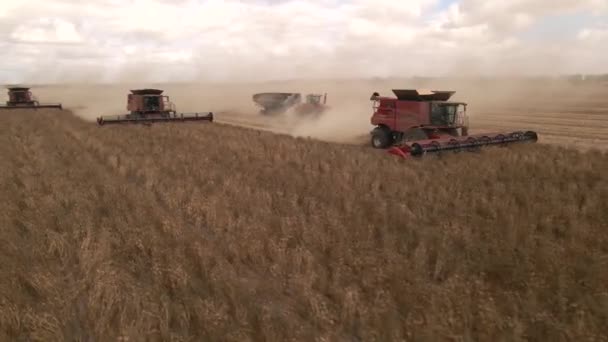 Schöne Luftaufnahme Der Ernte Westaustralien — Stockvideo