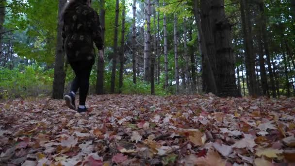 Low Angle Woman Walking Leaf Covered Trail Forest — Stock Video