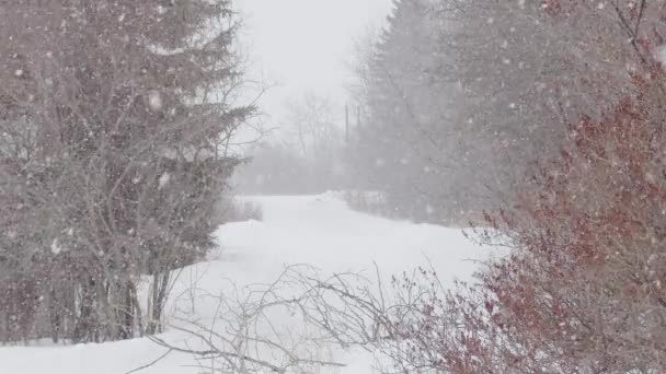 Slomo Flocos Neve Macios Que Caem Uma Estrada Rural Linha — Vídeo de Stock