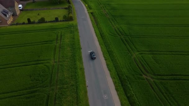 Luchtfoto Van Mustang Rijden Door Land Weg Met Groene Gewassen — Stockvideo