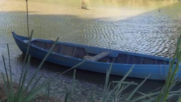 Ahşaptan Yapılmış Maviye Boyanmış Zanaatkar Bir Balıkçı Teknesi Nehrin Durgun — Stok video