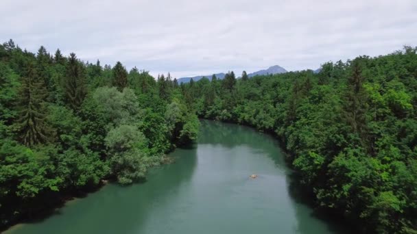 Flug Über Einen Grünen Fluss Umgeben Von Wald — Stockvideo