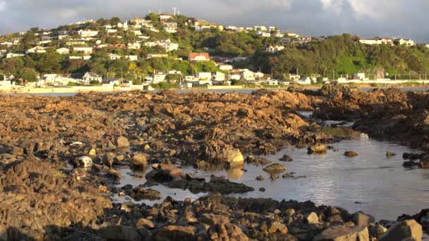 Plimmerton Nueva Zelanda Tarde Tranquila Junto Mar Con Casas Colina — Vídeos de Stock