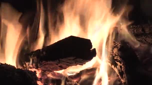 Tiro Medio Fuego Leña — Vídeos de Stock