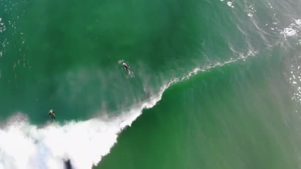 Overview 97Fps Prores Drone Footage Bodyboarders Surfers Water Sea Waves — Stock Video