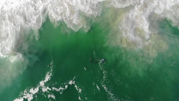 Přehled Dronové Záběry Bodyboardistů Surfařů Vodě Moře Vlnami — Stock video