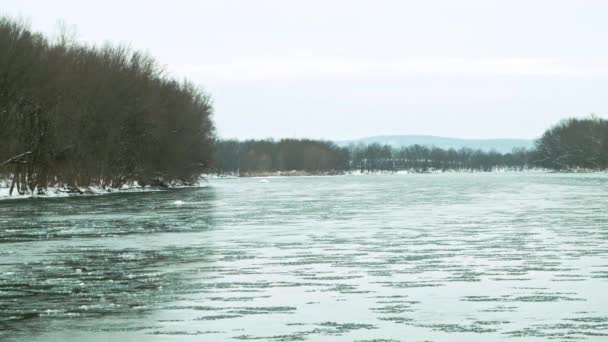 Ghiaccio Che Galleggia Lungo Fiume Pennsylvania Inverno — Video Stock