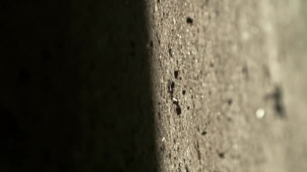 Der Schatten Der Garagentür Bewegt Sich Auf Beton Und Stoppt — Stockvideo