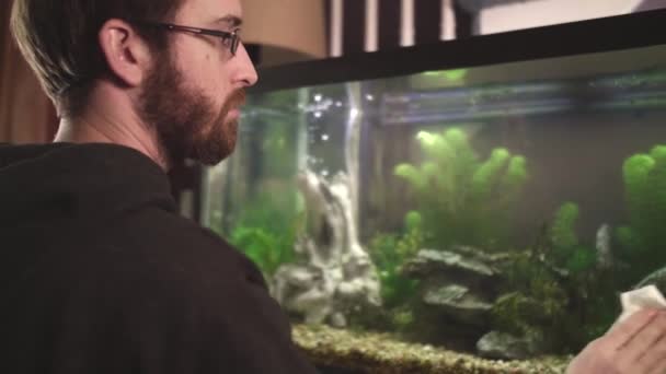 Man Reiniging Van Glas Aan Voorkant Van Vis Tank Pan — Stockvideo