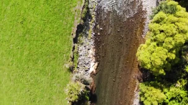 Letecký Záběr Přeletěl Řeku Pole Novém Zélandu — Stock video