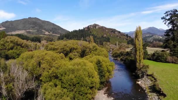 Letecký Záběr Letí Směrem Stromům Nad Řekou Oblasti Tasman Novém — Stock video