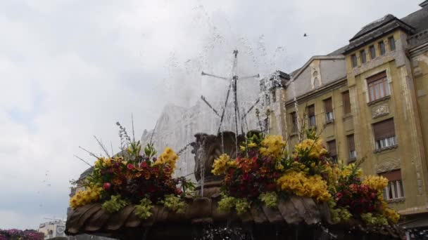 Timfloralis 2019 Flowers Festival Timisoara Romania — 비디오