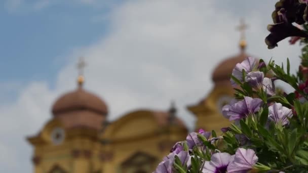 Timfloralis 2019 Blomsterfestivalen Timisoara Rumänien — Stockvideo