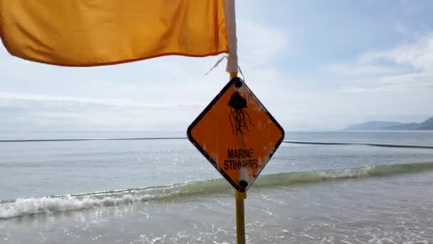 Знак Предупреждения Медуз Порт Дугласе Австралия — стоковое видео
