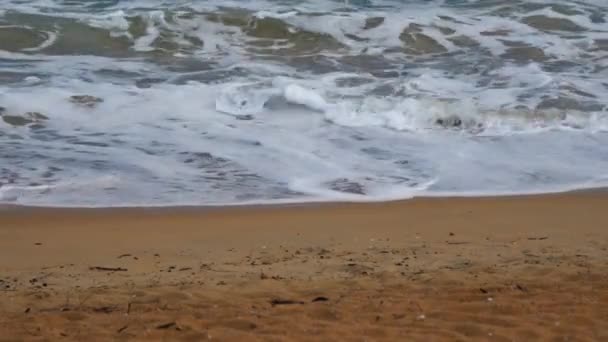 ニュージーランドの砂金のビーチで波を閉じる — ストック動画