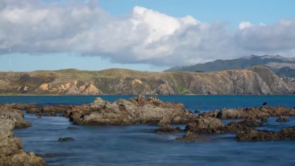 Timelapse Roches Plage Plimmerton Nord Wellington Nouvelle Zélande — Video