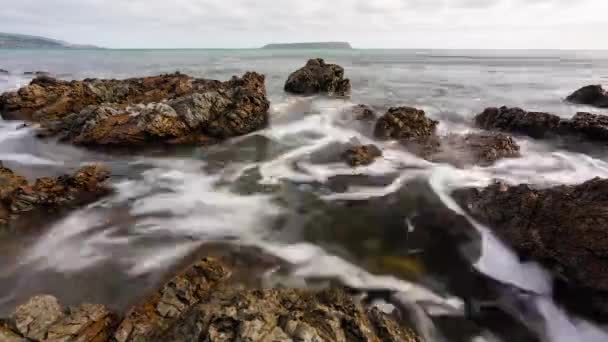ニュージーランドのウェリントン海岸に沿って時間の経過 — ストック動画